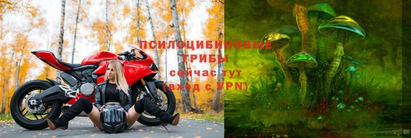 дмт Аркадак