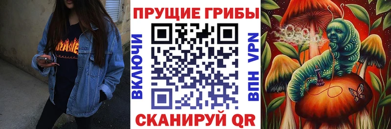 закладка  Белая Холуница  OMG онион  Галлюциногенные грибы GOLDEN TEACHER 
